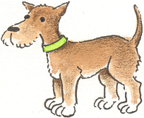 Logo jagdhundepruefung.at - Test Verein